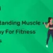 Understanding Muscle Anatomy for Fitness Trainers