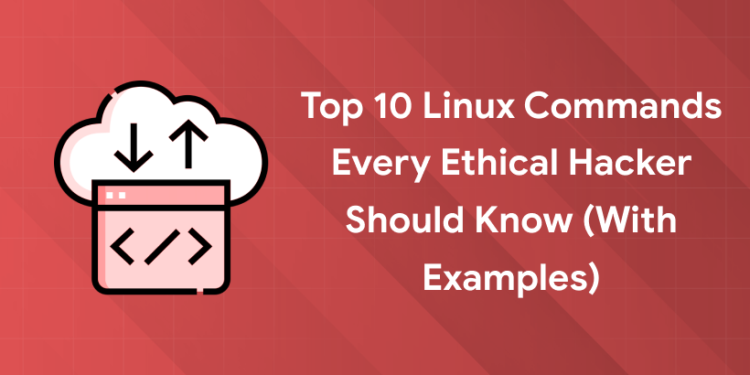 Linux Commands Every Ethical Hacker Should Know