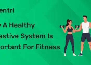 Why a Healthy Digestive System Is Important for Fitness
