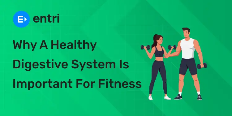 Why a Healthy Digestive System Is Important for Fitness