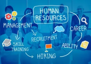 best hris software in india
