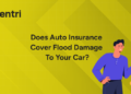 Auto Insurance