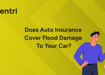 Auto Insurance