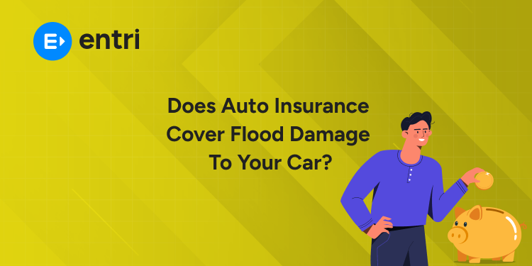 Auto Insurance