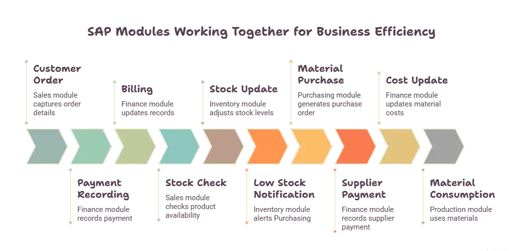 How SAP Modules Work Together - visual selection
