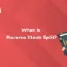 Reverse Stock Split