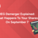 HEG Demerger