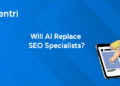 SEO Specialists