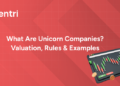 Unicorn Companies