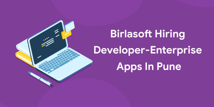 developer at birlasoft