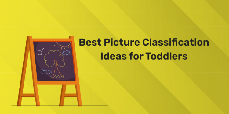 Picture Classification