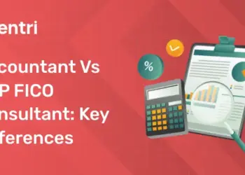 Accountant vs SAP FICO Consultant Key Differences