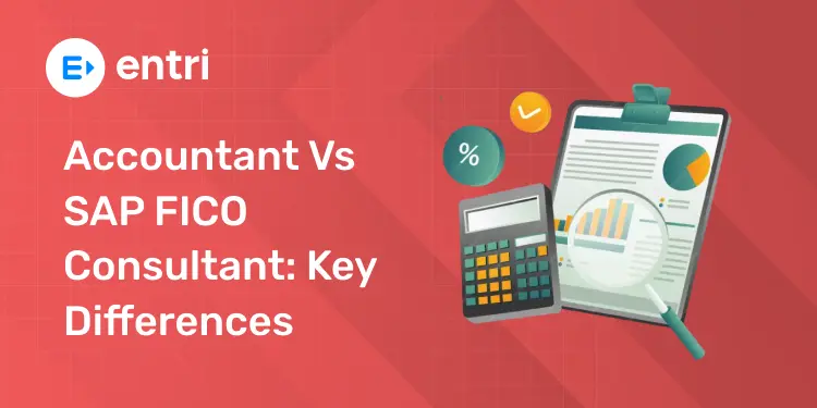 Accountant vs SAP FICO Consultant Key Differences