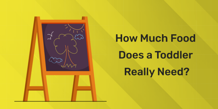 How Much Food Does a Toddler Really Need