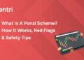 Ponzi Scheme
