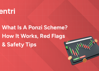 Ponzi Scheme