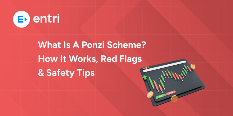 Ponzi Scheme