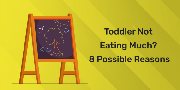 Toddler Not Eating Much? 8 Possible Reasons