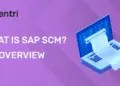 What Is SAP SCM An Overview