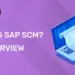 What Is SAP SCM An Overview