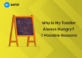 Why Is My Toddler Always Hungry 7 Possible Reasons