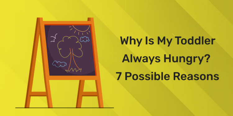 Why Is My Toddler Always Hungry 7 Possible Reasons